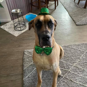 St. Patty's Day Dog Cookie Package