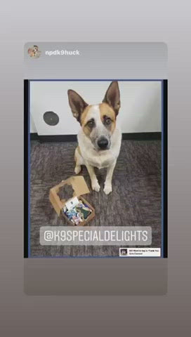 K9 Police Dog Cookie Package