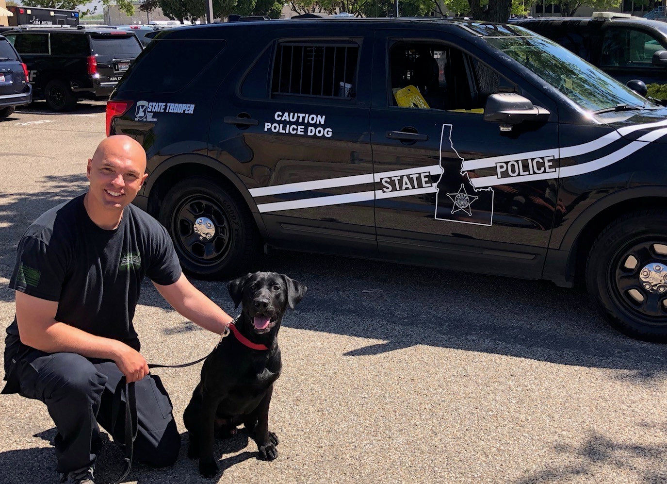 K9 Police Dog Cookie Package