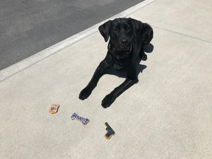 K9 Police Dog Cookie Package