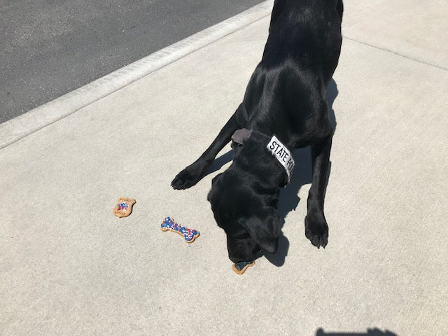K9 Police Dog Cookie Package