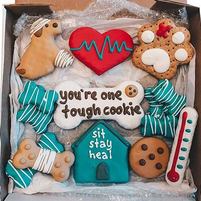 Get Well Fur Baby Package