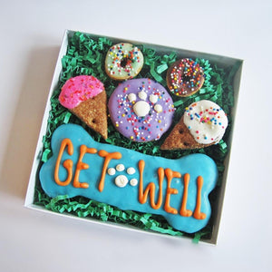 Get Well Fur Baby Package