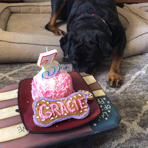 Let's have a PAWTY! Small Birthday Dog Cake